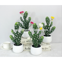 mini plantes succulentes/mini cactus bonsaï décoratifs pour la maison